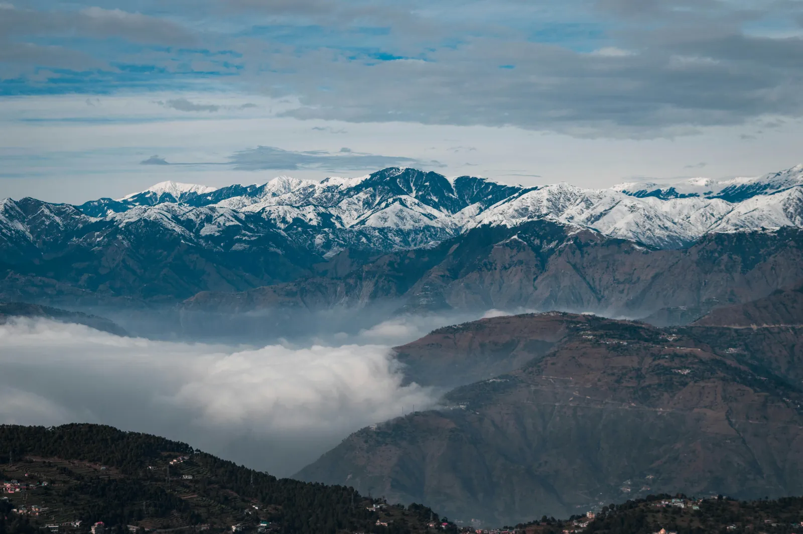 Bir Billing  Palampur Himachal package