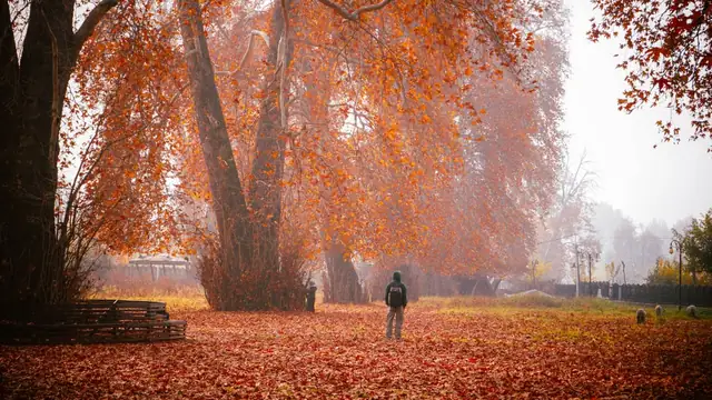Kashmir in October 2026: Weather, Chinar Colours, Snow Chanc