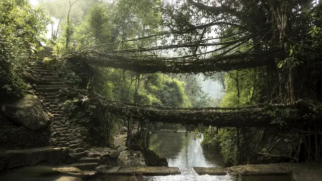 North East India Travel Guide