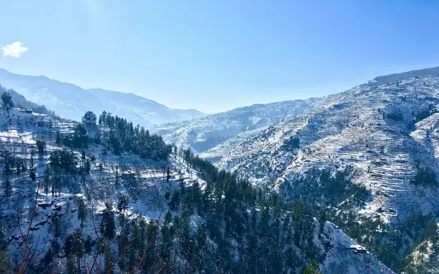Snow on the forested ridges around Shimla, Himachal Pradesh, in winter