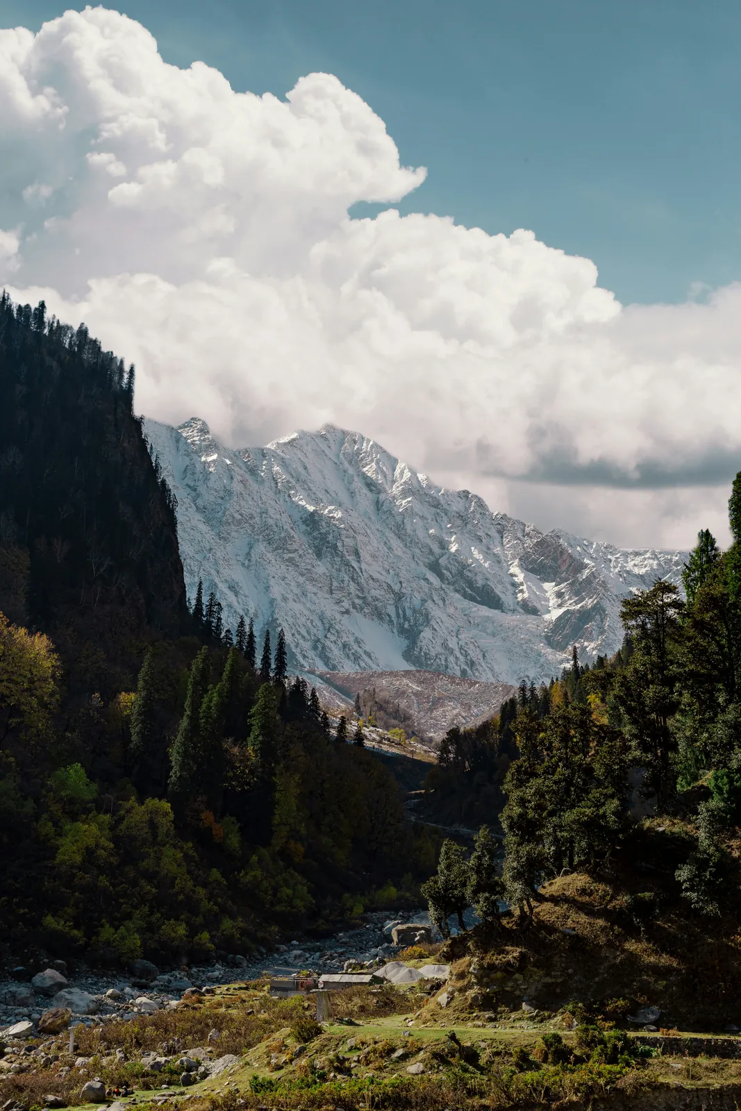 Jalori Pass, Serolsar  Tirthan Himachal package