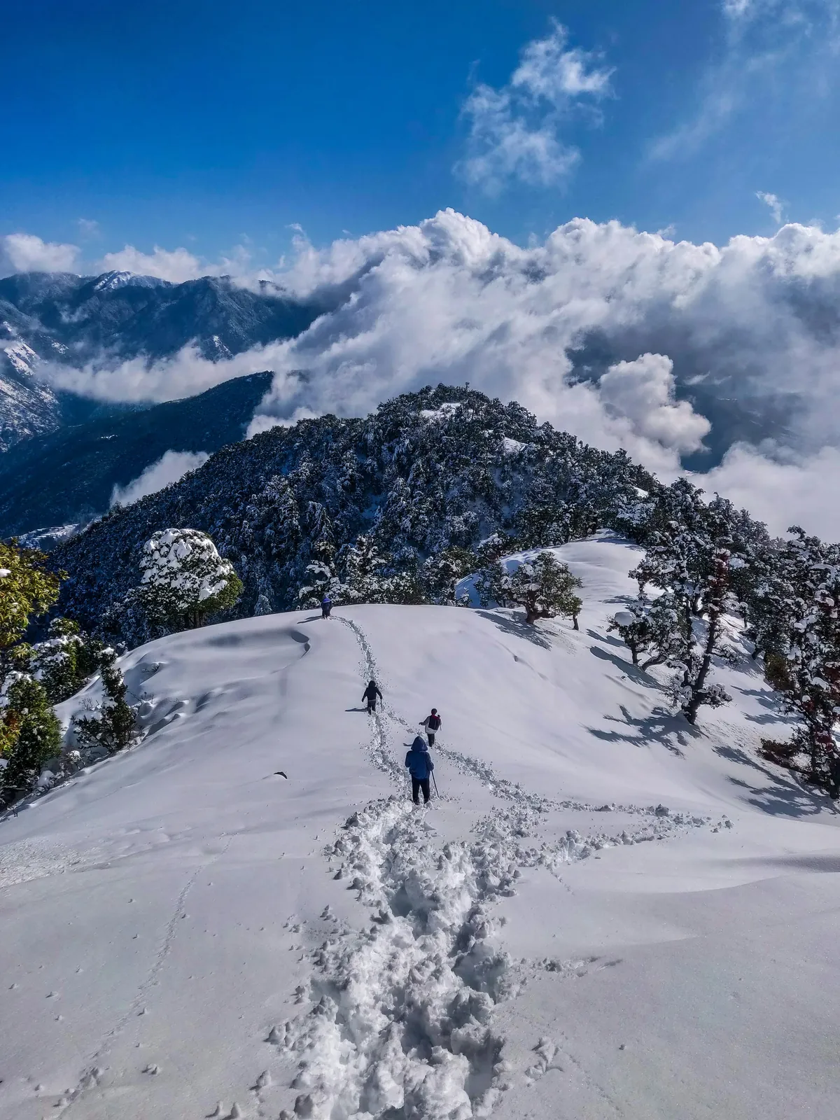 Great Himalayan National Park Himachal package