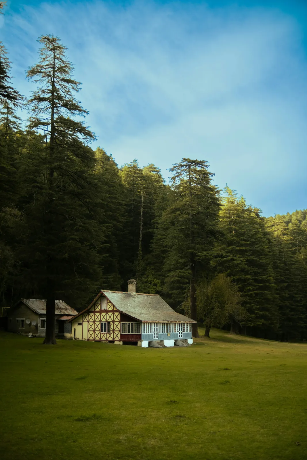 Green meadow ringed by pines at Khajjiar, Himachal Pradesh
