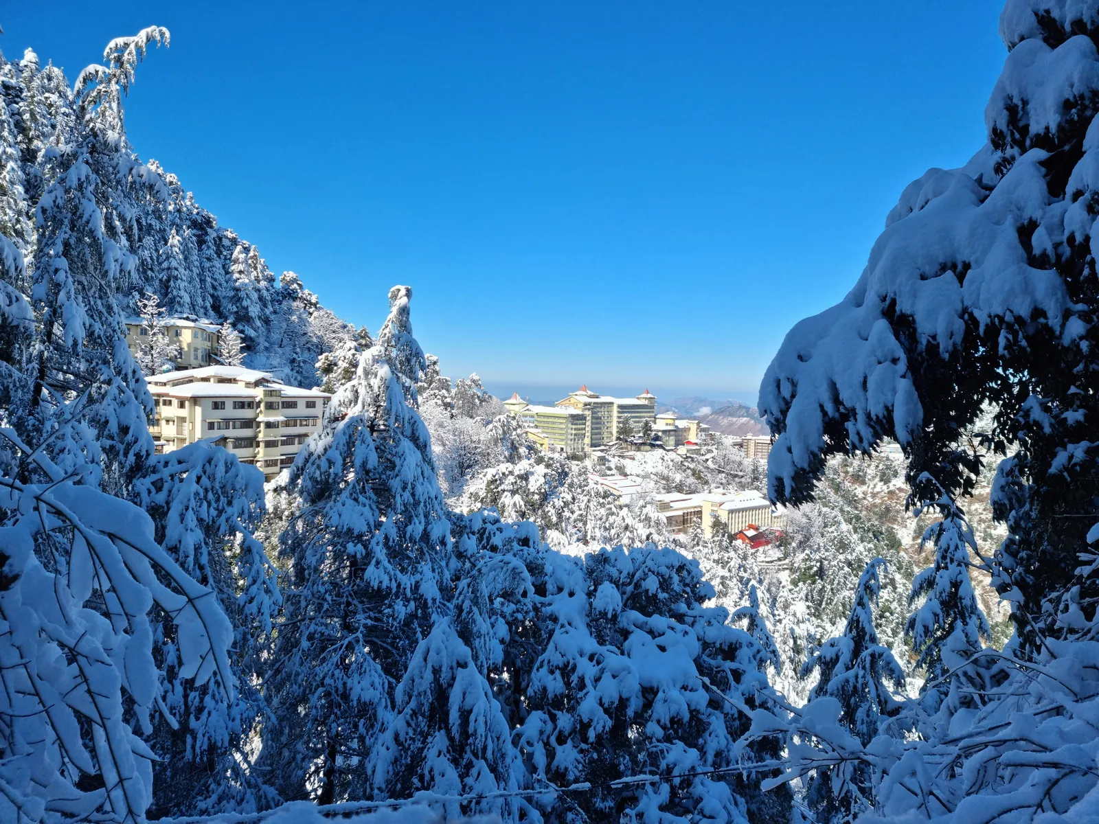 Solan  Shimla Escape Himachal package