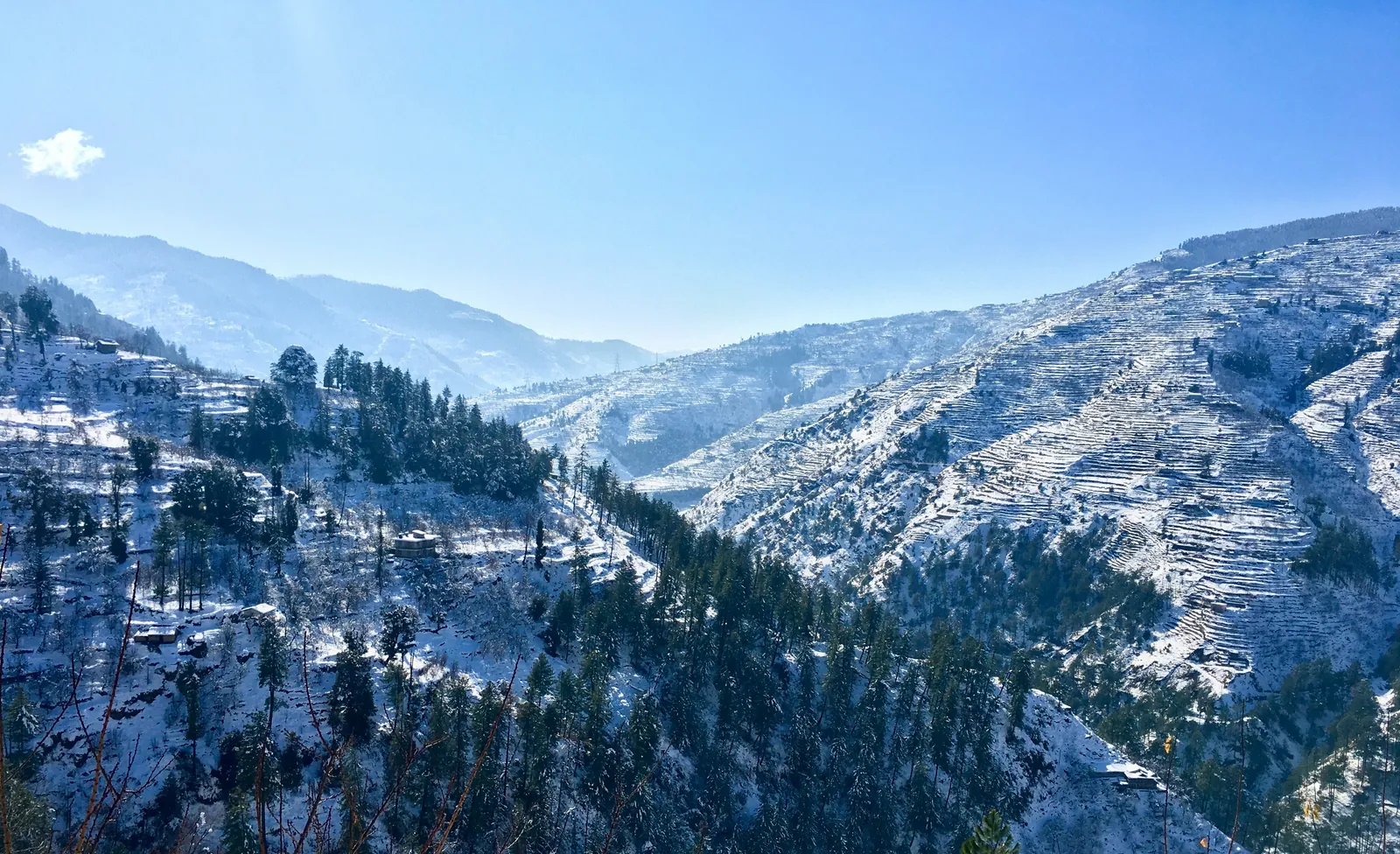 Kasauli  Parwanoo Himachal package