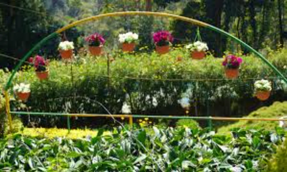 romantic getaways Kerala