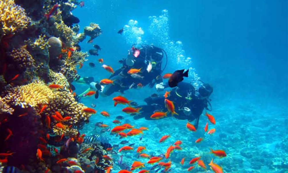 Andaman honeymoon package